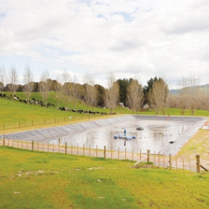 Assessors look at a farm’s effluent system before issuing a WoF.