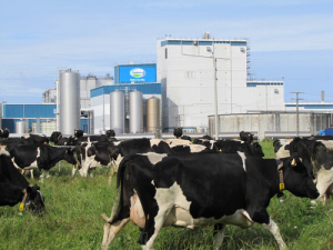 Fonterra nominations have closed.