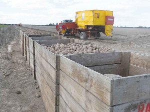 Despite warnings from the NZ potato sector, Agriculture Minister Damien O’Connor claims there’s no evidence of a surge in potatoes or frozen potato chips imports from the EU.