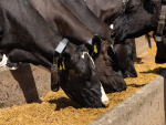 Dry Period Sets The Platform For New Season