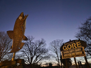 Greenpeace should lose charitable status - Feds