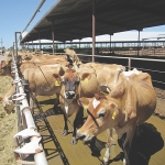 Tours help farmers connect the dots