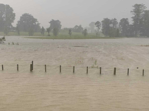 A flooded paddock in Elsthorpe, Central Hawke&#039;s Bay. Photo Credit: Bryan Lorenz.