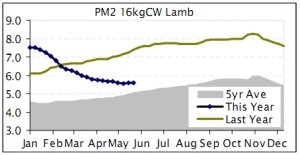 First of the scanned in lamb ewes showing up