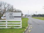 Silver Fern Farms says it is planning to close the pelt processing operation.