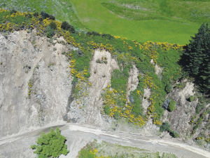 Land slips at Kaikoura are much severe than the Darfield quake, say FMG.