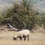 Feds’ drought days open to public