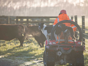 If you ride a quad, put a crush protection device on it, says Worksafe New Zealand.