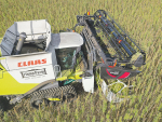  A double cutter hemp harvester being developed to handle the harvesting of seed and stalk. Photo: SUPPLIED.