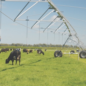 Irrigators could be forced to shut early if the rains don’t come.