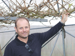 KBC&#039;s goal of fast tracking new kiwifruit cultivars