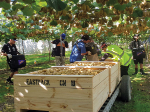 NZKGI Responds to Migrant Worker Exploitation Reports
