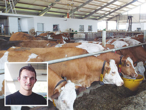 Cows spend all their time indoors in Bavaria. Inset: Basti Hermann.
