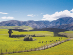 NZ JV to help with reducing carbon footprint