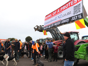 Protestors march through Levin.