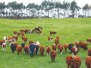 Australian farmers can now look for bulls that increase heat tolerance.