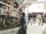 Rural Women NZ Calls for Better Rural Mental Health Support