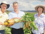 NZ fodder beet specialist Jim Gibbs (centre) with Australian  dairy farmers Darryl and Leanne Priebbenow. Photo: Gordon Collie