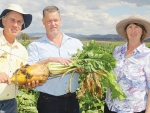 NZ fodder beet specialist Jim Gibbs (centre) with Australian dairy farmers Darryl and Leanne Priebbenow. Photo: Gordon Collie