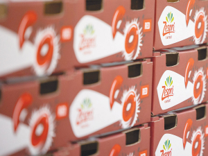 Zespri&#039;s RubyRed kiwifruit will be supplied to consumers in New Zealand, Singapore, Japan, Taiwan and China.