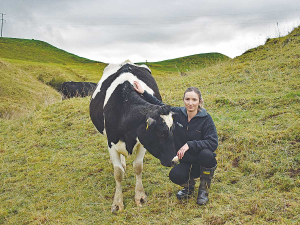 Tania Cresswell with one of her Holstein Friesian heifers.