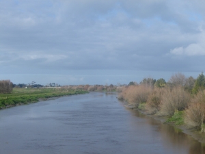 The efforts of farmers to improve the health of the Piako River in Waikato region have been recognised.