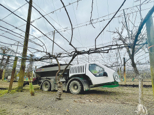 The orchard spreader is built low and narrow to deal with the restricted access typically found in orchards.