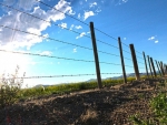 Defined waterways totalling twice the length of New Zealand&#039;s coastline are now fenced.