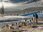 Top Wineries of New Zealand