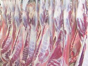 NZ goat meat only needs to capture a small part of the US market to succeed.