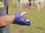 Micron Agritech Showcases Rapid AI Livestock Parasite Testing at Fieldays
