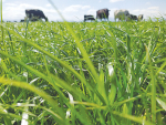 Newly appointed Plant Breeders and Research Association chief executive Sarah Clark wants farmers to choose modern proprietary cultivars which are supported by years of investment, testing and development.