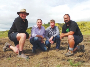 The first vines go into the ground at Leefield Station.