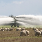 Farmers flock to Ruataniwha meeting