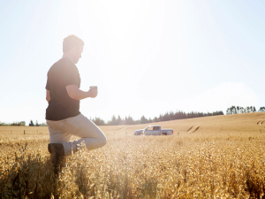 Otis Managing Director Tim Ryan surveys his oat crop before harvest. Photo: Vaughan Brookfield.