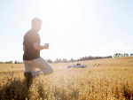 Otis Managing Director Tim Ryan surveys his oat crop before harvest. Photo: Vaughan Brookfield.