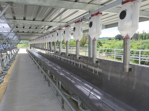 An Evolution Dispenser set up in a shed.