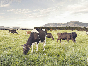 Between 2022 and 2023, total emissions from agriculture decreased 2.2%, including a 1.6% drop in dairy cattle emissions.