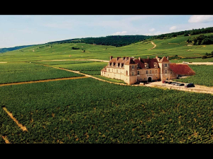 Clos Henri in Marlborough, owned by an open minded French winemaking family from Sancerre in the Loire Valley.  