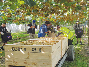 NZ Kiwifruit Growers (NZKGI) chief executive Colin Bond says the kiwifruit industry is facing a shortage of 6,500 workers this season.