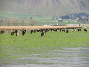 More storms and winds are forecast for spring.