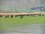 More storms and winds are forecast for spring.