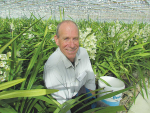 Award-winning orchid growers not afraid to try new things