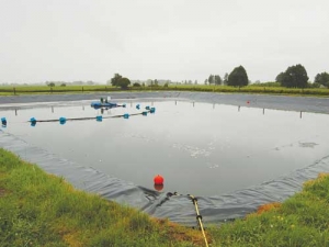 Pond owner first in charge of safety