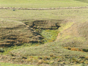 Wetlands help reduce contaminants reaching waterways.