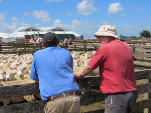 Livestock farmers will be able to get short term finance without visiting a bank.