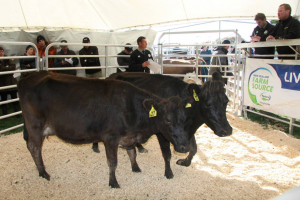 Fonterra to offload livestock business