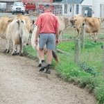 Progressing your dairy career