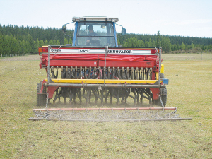 Undersow oats and/or Italian ryegrass now, and you can create a bit of a safety net for calving.