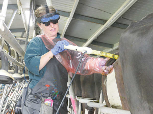 Ultra-Scan operates 21 franchised territories nationwide, with skilled technicians specialising in pregnancy scanning and calf disbudding.